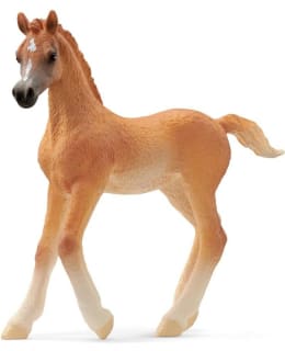 SCHLEICH 13984 ARABIANHEVOSVARSA Main Image