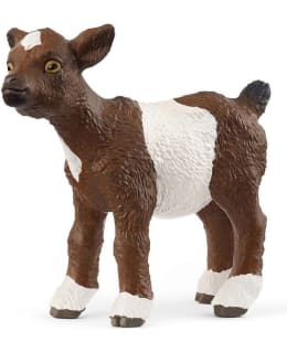 SCHLEICH 14888 GOAT KIT VUOHI Main Image