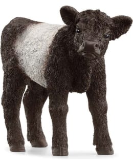 SCHLEICH 13969 GALLOWAY VASIKKA Main Image