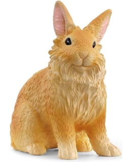 SCHLEICH 13974 LEIJONANHARJAS KANI Main Image