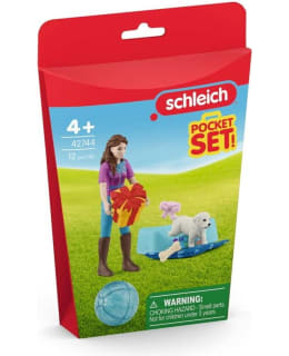 SCHLEICH 42744 BIRTHDAY PARTY WITH LISA Main Image