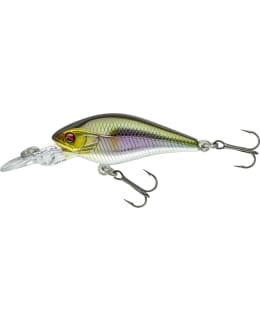 DAIWA PX TODDLER CRANK 60MR AYU VAAPPU Main Image