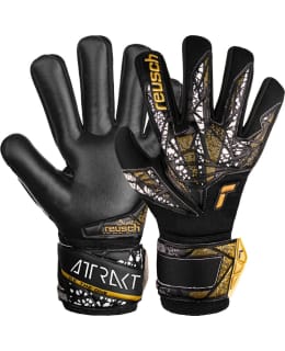 REUSCH ATTRAKT SILVER NC FG 9 MV-HANSKA Main Image