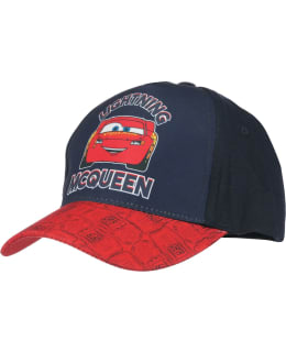 CARS-3-880-T.SININEN-54 L.LIPPIS Main Image