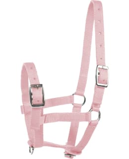 HORZE COLT HALTER Main Image