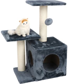 IL 100467 KISSANPUU 70CM Main Image