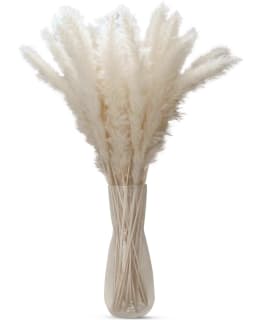 IL-100536 PAMPAHEINÄT 30 KPL Main Image