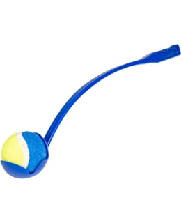 INT IL-100763 ALLONHEITIN Main Image