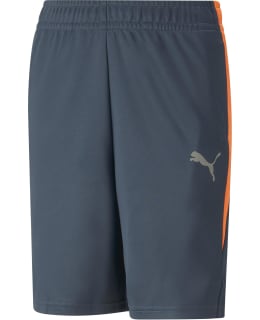 PUMA ACTIVE POLY SHORTS B 673215 16 176 Main Image
