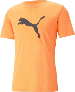 PUMA INDIVIDUALRISE TEE M 658128 50 S Main Image