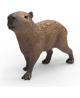 SCHLEICH CAPYBARA Main Image
