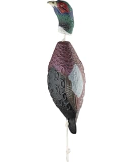 HP&G KOULUTUS DUMMY - FASAANI Main Image