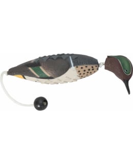 HP&G APPORTING DUMMY GREEN-WINGED TEAL Main Image