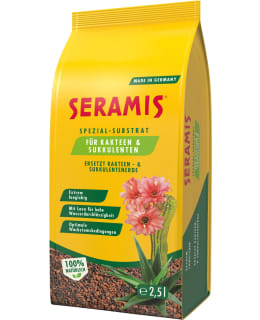 SERAMIS 2,5 L SAVIROUHE KAKTUS, MEHIKASV Main Image