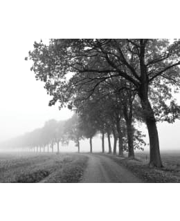 JAIKA LONELY ROAD 40X50 JULISTE Main Image