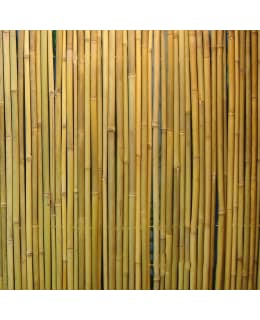 HOME4YOU 1,5X3M BAMBUAITA Main Image