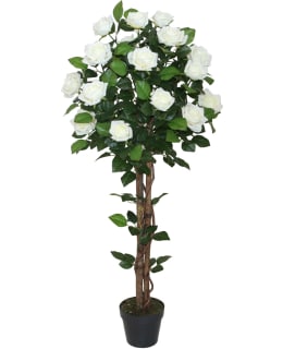 HOME4YOU 84684 ROSE TREE VALK 120CM Main Image