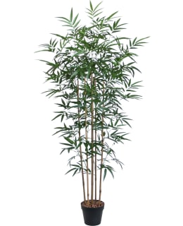 HOME4YOU 84687 BAMBOO ARTIF TREE 150CM Main Image