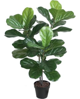 HOME4YOU 84688 FIDDLE LEAF TEKOPUU Main Image