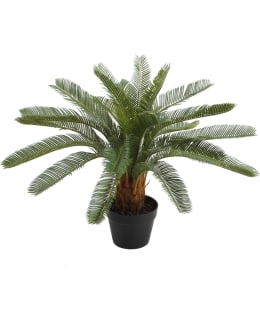HOME4YOU CYCAS 84691 VIH 70CM TEKO Main Image