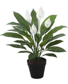 HOME4YOU SPATHE 84693 ARTIF PLANT Main Image