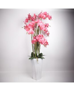 HOME4YOU 85315 ORCHID PINK H132CM Main Image