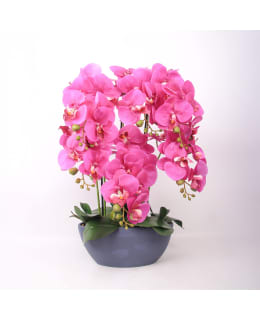 HOME4YOU G QUEEN 85815 PINK 64CM ORKID Main Image