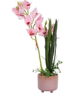 HOME4YOU 85872 PINK 70CM TEKOKUKKA Main Image