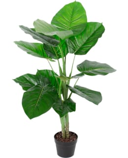 HOME4YOU 86922 WIND GREEN 90CM PLANT Main Image