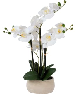 HOME4YOU 87442 VALK 55CM ORKIDEA Main Image