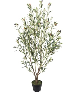 HOME4YOU WIND OLIVE 87802 130CM PUU Main Image