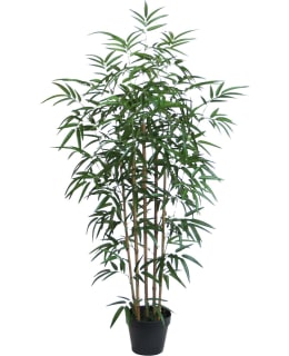 HOME4YOU WIND BAMBOO 87835 VIH 130CM Main Image