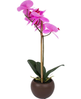 HOME4YOU IN GARDEN PI ORKIDEA SILKKIKKA Main Image