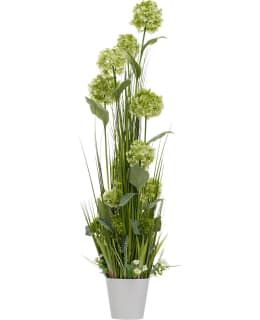 HOME4YOU IN GARDEN 88687 GREEN 120CM Main Image