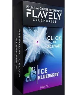 FLAVELY ICE BLUEBERRY MAKUPALLOT Main Image