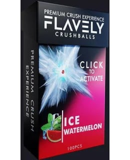 FLAVELY ICE WATERMELON MAKUPALLOT Main Image