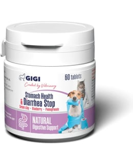 GIGI KISSA JA KOIRA 60TAB VATSARAVINNE Main Image