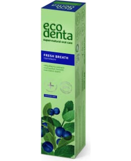 Fresh Breath Blueberry Toothpaste Main Image