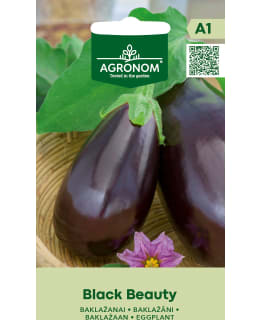 HORTEX MUNAKOISO BLACK BEAUTY Main Image