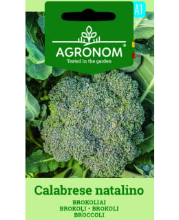 HORTEX PARSAKAALI CALABRESE NATALINO Main Image