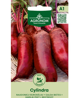 HORTEX PUNAJUURI CYLINDRA Main Image