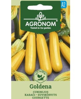 HORTEX KESÄKURPITSA GOLDENA Main Image