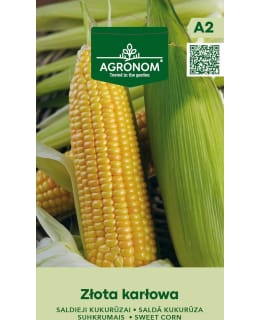 HORTEX SOKERIMAISSI ZLOTA KARLOWA Main Image