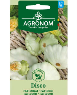 HORTEX LITTEÄKURPITSA DISCO Main Image