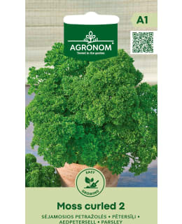 HORTEX PERSILJA MOSS CURLED 2 Main Image