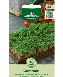 HORTEX KRASSI Main Image