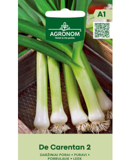 HORTEX PURJOSIPULI DE CARENTAN 2 Main Image