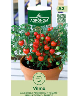 HORTEX TOMAATTI VILMA Main Image