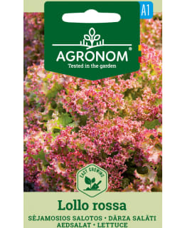 HORTEX SALAATTI LOLLO ROSSA Main Image