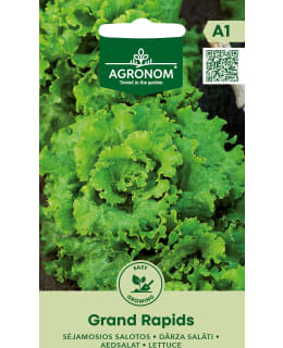 HORTEX SALAATTI GRAND RAPIDS Main Image